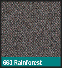 663 Rainforest